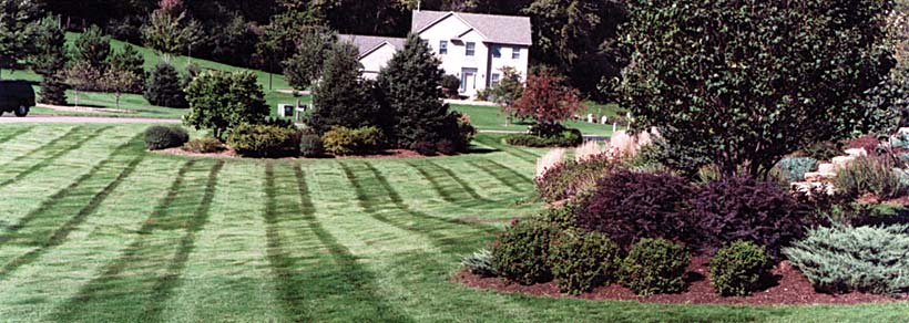 Let's work together to make your lawn in Stillwater, MN and Hudson, WI look great!
