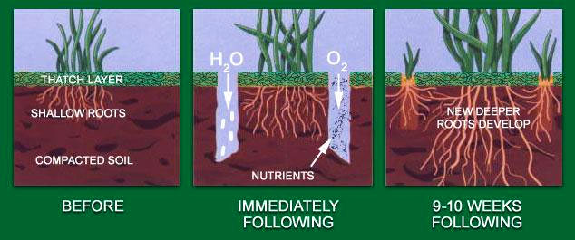 Core aeration is the most beneficial service you can do for your lawn. Aeration involves perforating the soil with small holes to allow air, water, & nutrients to penetrate the grass roots.